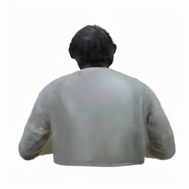 SV4D view 3